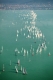 Заметки о Венгрии. Озеро Балатон. Парусная регата «Синяя Лента» на озере Балатон. Ежегодное международное соревнование парусных яхт. Водный спорт. Отдых и развлечения в Венгрии 