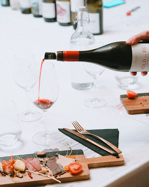 Программа для ценителей хорошего вина. Sommelier-led Wine tasting in Budapest. Best wines for tasting. Hungarian wines for tasting