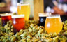Budapest.Cruise with beer tasting (5 types)