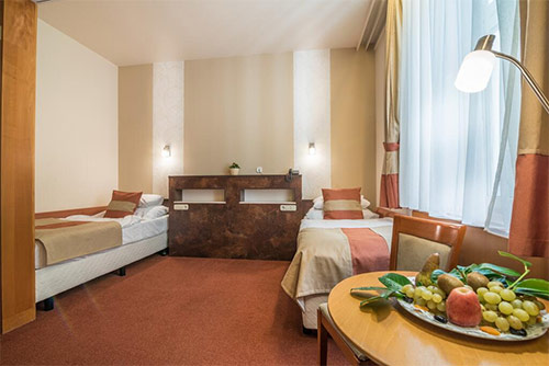    - Hotel SPA Heviz 4*.     .     .     .     .        :  ,  ,  