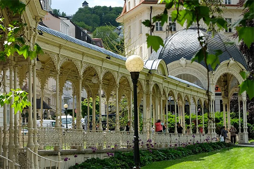 Karlovy Vary is the largest and best known Czech spa. Many business and leisure travellers can benefit from luxury airport transfer in Budapest. The cheap airport transfers from Budapest airport to City or Hotel