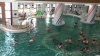 Термальная купальня водолечебниуа Залакарош (Zalakaros). Венгрия. Оздоровление и отдых на водах. Водные развлечения - Аквапарк