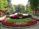   . (Siofok) -     