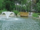   . (Siofok) -     