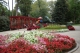   . (Siofok) -     