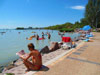   .  (Balaton) -    
