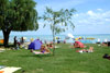   .  (Balaton) -    