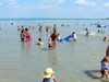   .  (Balaton) -    