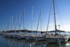   .  (Balaton) -    