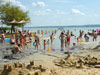   .  (Balaton) -    