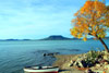   .  (Balaton) -    
