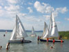   .  (Balaton) -    