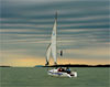   .  (Balaton) -    
