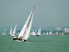   .  (Balaton) -    