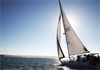   .  (Balaton) -    
