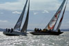   .  (Balaton) -    