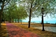  (Balatonfured) -     