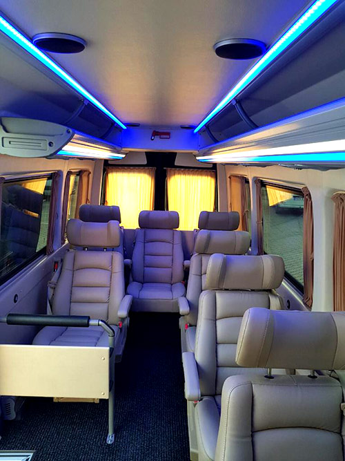 VIP  Mercedes Benz Sprinter Luxury.   .  VIP   :  ,    ,    