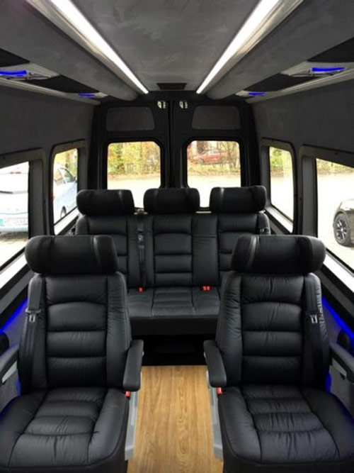 VIP  Mercedes Benz Sprinter Luxury.   .  VIP   :  ,    ,    