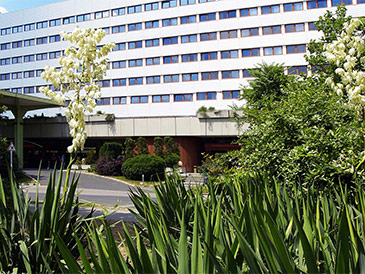 4* Danubius Hotel Flamenco   