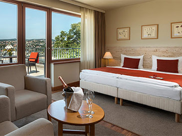 4* Hotel Castle Garden   