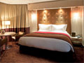 5*      - 5* Sofitel Chain Bridge Budapest Hotel.  5*  SOFITEL   .     , ,     