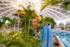    (Debrecen)      - Aquaticum Debrecen Termal & Wellness Hotel 4*