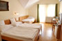   .   3*- Harkany Hotel Ametiszt 3*