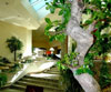 NaturMed Hotel Carbona 4* -  .   . .     .