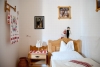   3* - Hotel Bagolyvar Hotel 3*.  - Pecs.