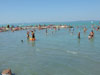  (Siofok) -     