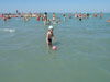  (Siofok) -     