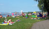  (Siofok) -     