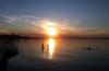  (Siofok) -     