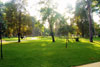  (Siofok) -     
