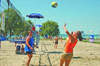  (Siofok) -     