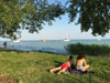  (Siofok) -     