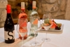 .   (Sopron).   - Hotel Sopron 4*