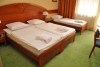 HOTEL LOVER *** Superior Sopron -  ˸ 3*       