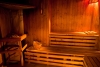 .   (Sopron). 4* Hotel Pannonia -  